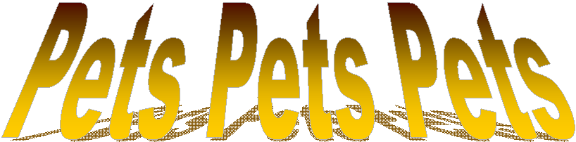 Pets Pets Pets
